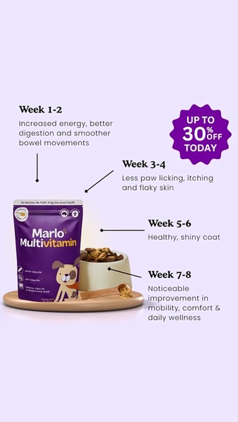 This ad creative uses a progressive 8-week timeline to map out specific health benefits of a pet multivitamin supplement.